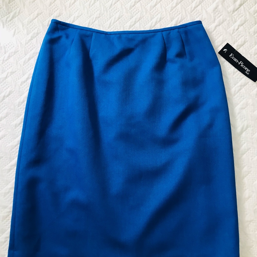 Evan Picone NWT Blue Fully Lined Skirt 10P